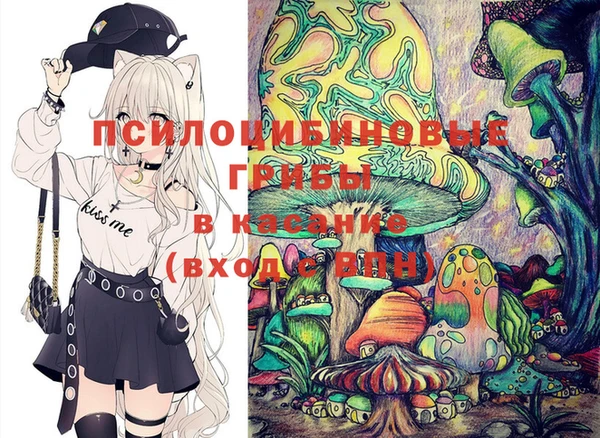 спайс Касимов