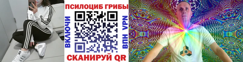 Псилоцибиновые грибы мицелий  Купить закладки  Вуктыл 